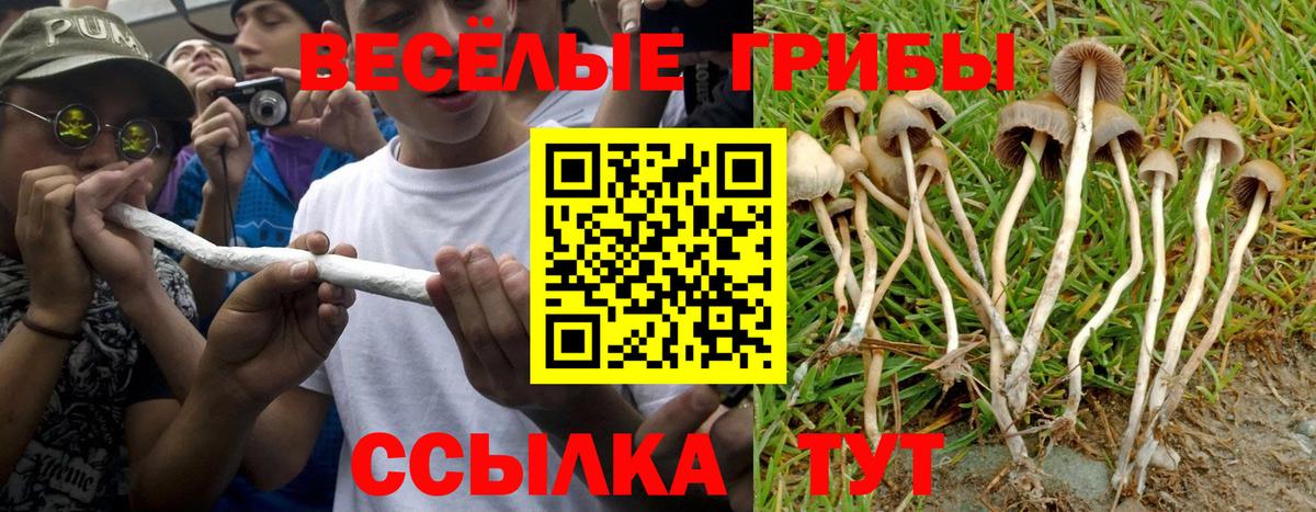 Великие Луки  Псилоцибиновые грибы GOLDEN TEACHER  Вход с VPN  Псилоцибиновые грибы Psilocybe 